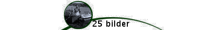 25 bilder